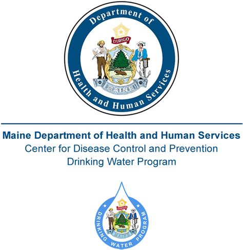 Maine DWP - Treatment