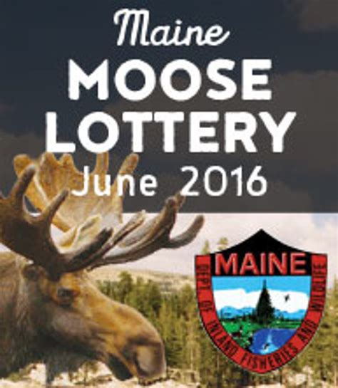 2023 Maine Moose Permit Lottery Winners Moose Permit - Re