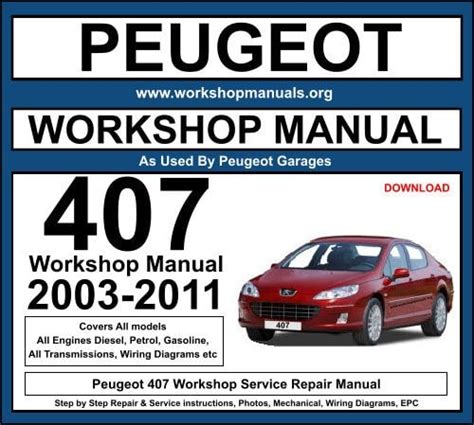 Maintenance and service manual for a peugeot 407 sw from amazon. - Problemas educativos de primaria en la region.
