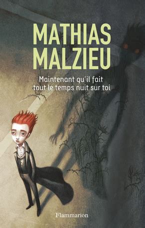 Read Maintenant Quil Fait Tout Le Temps Nuit Sur Toi By Mathias Malzieu