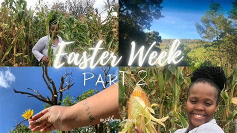 Maize Houston - 💐This Easter weekend, we invite you to... Facebook