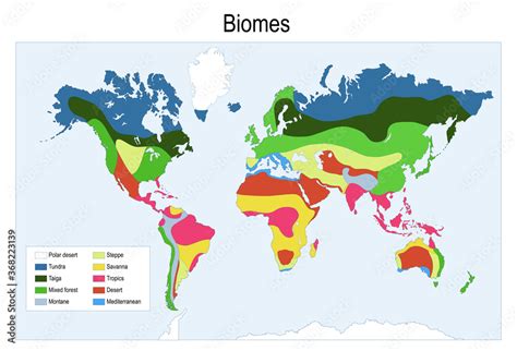 Major Biomes Of The World Map Zip Code Map