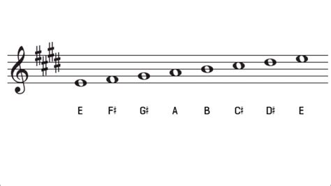 Major e scale. It also shows the scale degree names for all 8 notes. The E natural minor scale has 1 sharp. This minor scale key is on the Circle of 5ths - E minor on circle of 5ths, which means that it is a commonly used minor scale key. … 