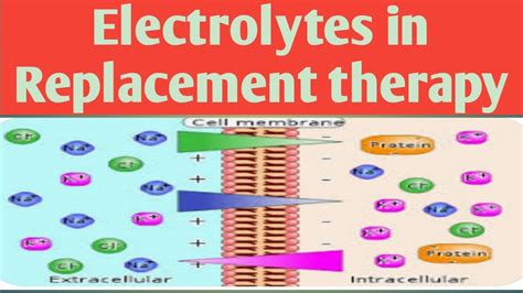 Major electrolytes that need replacement include all of the following e...