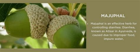 Majuphal for pregnancy. .  <a href=http://b24.real-pack.ru/assets/image...