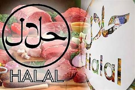 Makanan Halal Jadi Fokus CdM Indonesia untuk Atlet pada SEA …