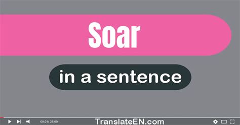 Make A Sentence Using Soar