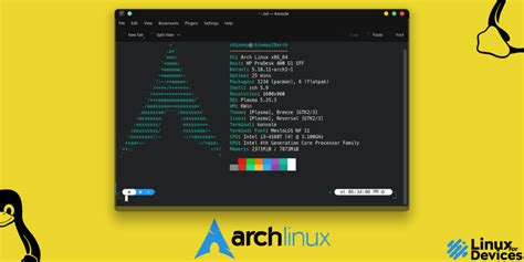 Make Your Arch Linux Terminal Awesome 2022 LinuxForDevices
