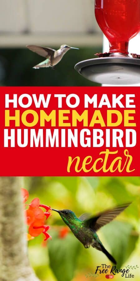 Make nectar for hummingbirds. Make simple hummingbird nectar by mixing 1/4 cup plain white table sugar with 1 cup boiling water. Let the mixture cool, then pour it into a hummingbird feeder. Do not use honey or raw sugar because they contain harmful ingredients for a hummingbird's delicate system. 