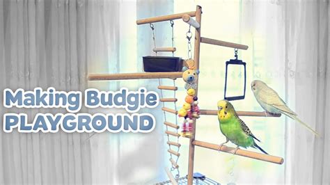 Making Budgie Playground - YouTube