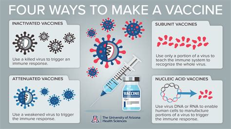 Making Vaccines: How Are Vaccines Made? Children