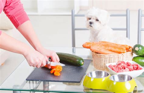 Making dog food at home. Providing your dog with a variety of homemade foods can also improve his nutrition and prevent allergies. By making homemade dog food, you can ensure that Fido gets variety in his diet so he can ... 