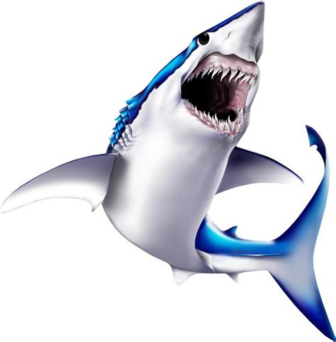 Mako Shark Cartoon