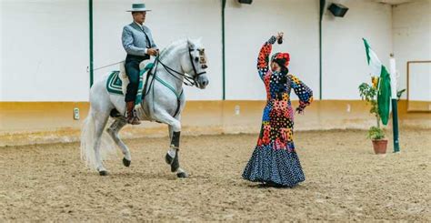 Malaga: Horse Show with Dinner, Drinks & Live Flamenco Show