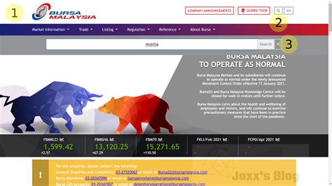 Malaysia IPO Tutorial Part 2 Where to check for Balloting Results