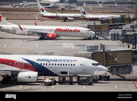 Malaysian Airline System Bhd - Company Profile and News