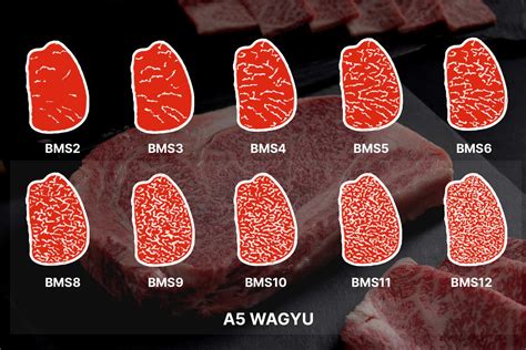 Malaysian a7 wagyu. The Insider Trading Activity of Kaswan Michael on Markets Insider. Indices Commodities Currencies Stocks 