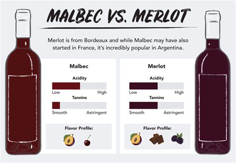 Malbec Vs Merlot: Comparison Guide - To Wine and Cheese