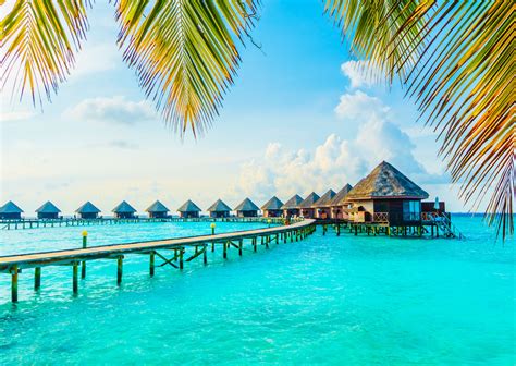 Maldives 2nd bradt travel guide maldives. - Meer in der französischen dichtung des 19. jahrhunderts..
