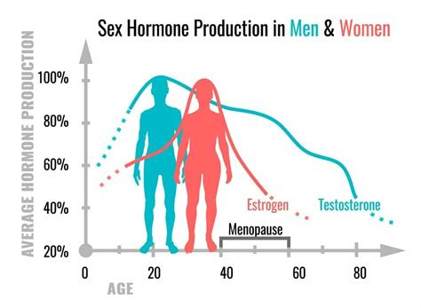th?q=Male Hormone Cycle: What happens with his testosterone every 24 hours