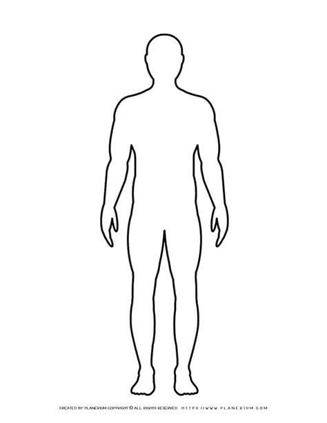 Male Body Outline Template