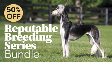 Male dog breeding.  This guide will Reputable breeders are experienced,...