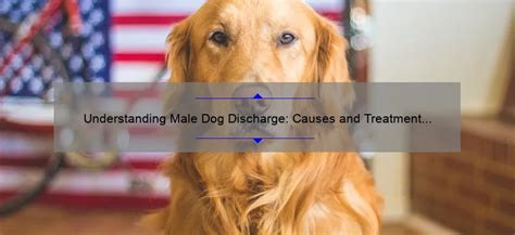 Male dog puberty discharge.  Small breeds develop faster than large Dog puberty usu...