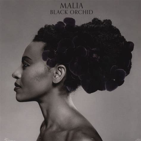 Malia – Black Orchid (2012, Vinyl) - Discogs