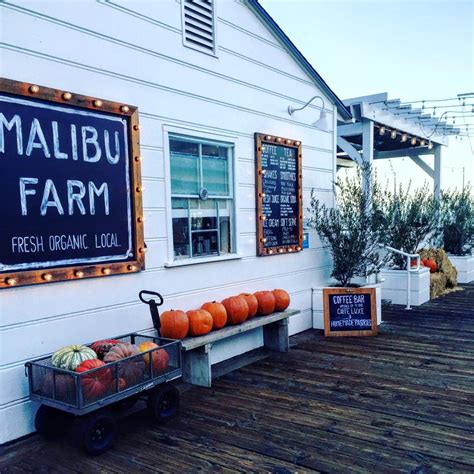 Malibu farm. Specialties: Fresh Organic Local Established in 2013. Malibu Farm started on a Farm on 2 acres in Pt Dume, Malibu and then opened their first farm to table restaurant on the Malibu Pier on September 2013 