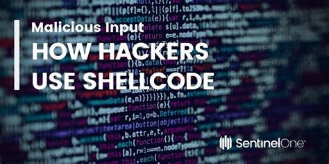 Malicious Input How Hackers Use Shellcode Strategic Focus