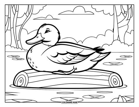 Mallard Coloring