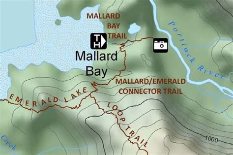 Mallard bay. Things To Know About Mallard bay. 