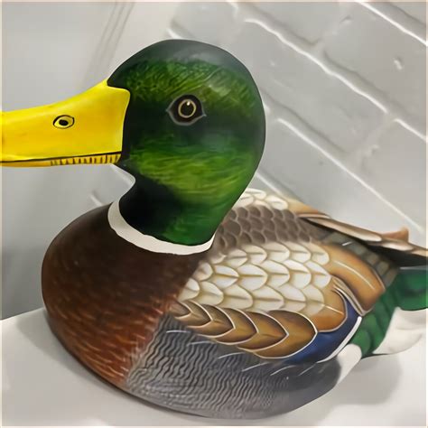Posted about a month ago. Mallard ducks - $10 (Cadott) © craigslist - Map data © OpenStreetMap. 1 year old Mallard ducks, 2 hens and 2 drakes. Hatched on the farm last year, they can fly but don’t leave the farm. $10 each or all 4 for $30. If the post is up then they are still available.. 