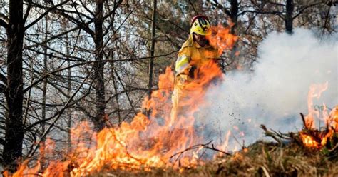 Mallorca on extremely high forest fire alert