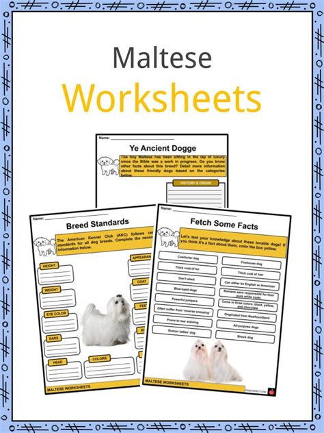 Maltese Worksheets - Lesson Worksheets