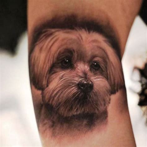 Maltipoo tattoo. Even though Maltipoos are extremely compact dogs, they pack a lot of personality. One of the best Maltipoo temperament traits is that they’re so affectionate, loving, and gentle. They’re also playful and charming, which means you’ll never get bored with them. Overall, they’re just a joy to be around. 