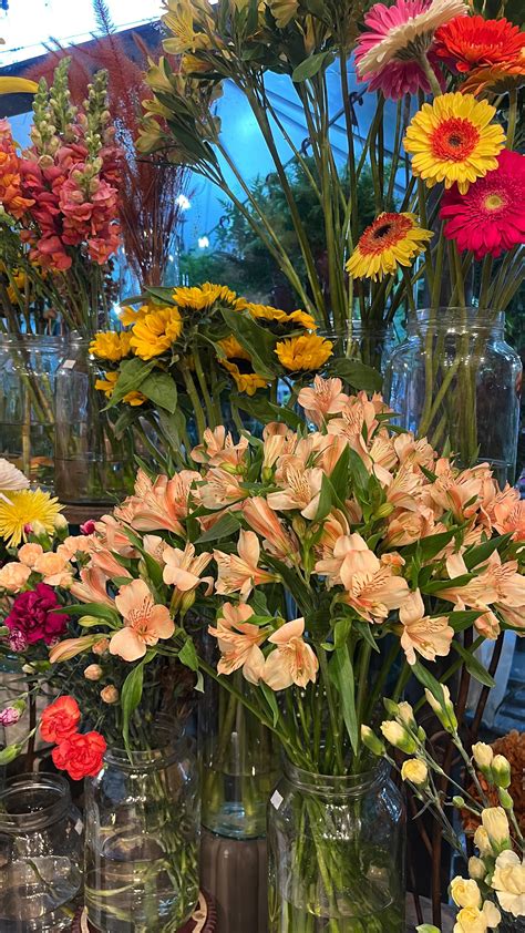 Maluzendron Leaks 🔥 XxX