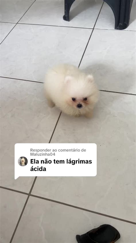 Maluzinha04 Leaks XXX 🍆