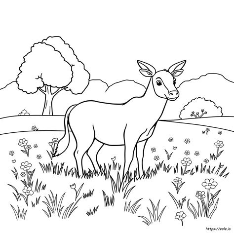 Mammal Coloring Shee
