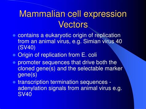 Mammalian expression vectors ppt.  Bacterial, Mammalian, and Additional Prote...