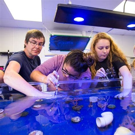The program offers two tracks, Marine Biology and Marine Chemical Biology: (MB) is the study of marine organisms and their relationship with the physical and chemical dynamics of the marine environment. Faculty expertise encompasses several major areas of modern biology including evolutionary, ecological, organismic, physiological, biochemical ... . 