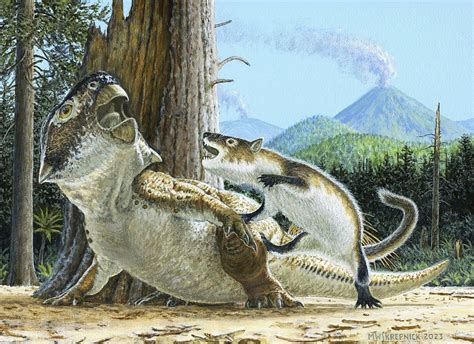 Mammals may have hunted down dinosaurs for dinner, rare fossil suggests