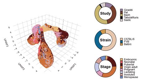 Mammary cell gene expression atlas links epithelial cell ... - Nature