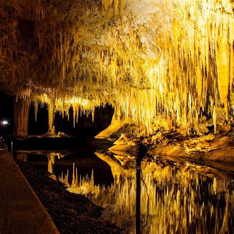 Mammoth Cave (Boranup): All You Need to Know …