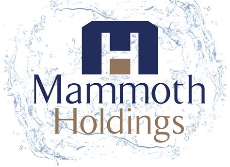 Mammoth holdings. Things To Know About Mammoth holdings. 
