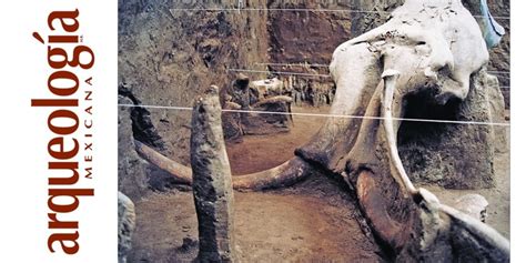 Mamutes excavados en la cuenca de méxico (1952 1980). - 10 palabras clave en movimientos sociales.