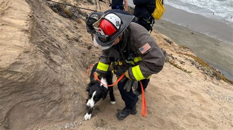 Man, 2 dogs rescued after falling off cliff at Fort Funston