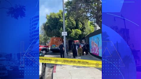 Man accused of stabbing bus driver in Venice identified