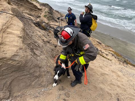 Man and two dogs safe after San Francisco cliff rescue