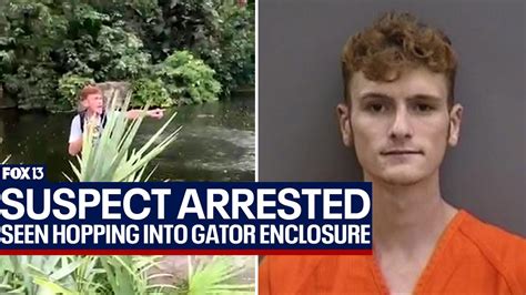 Man arrested after breaking into Busch Gardens, hopping into alligator enclosure and filming video for social media, police say